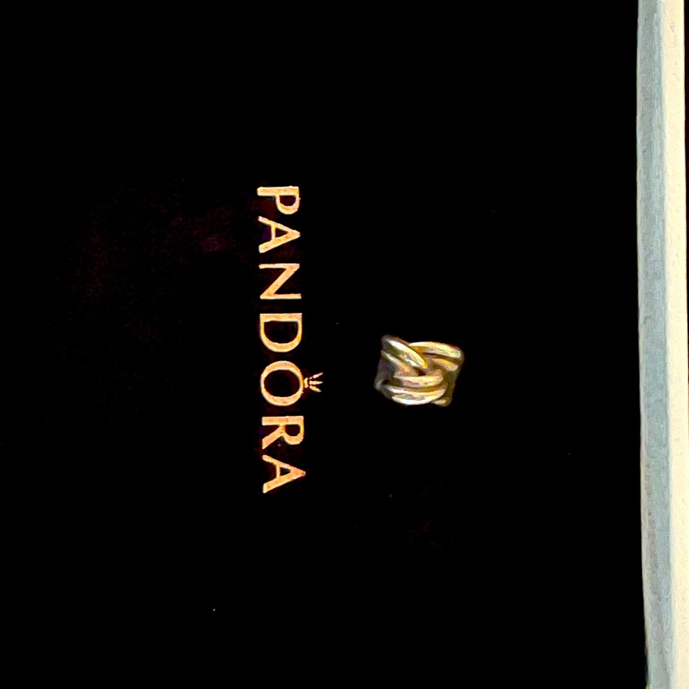 Pandora Charm